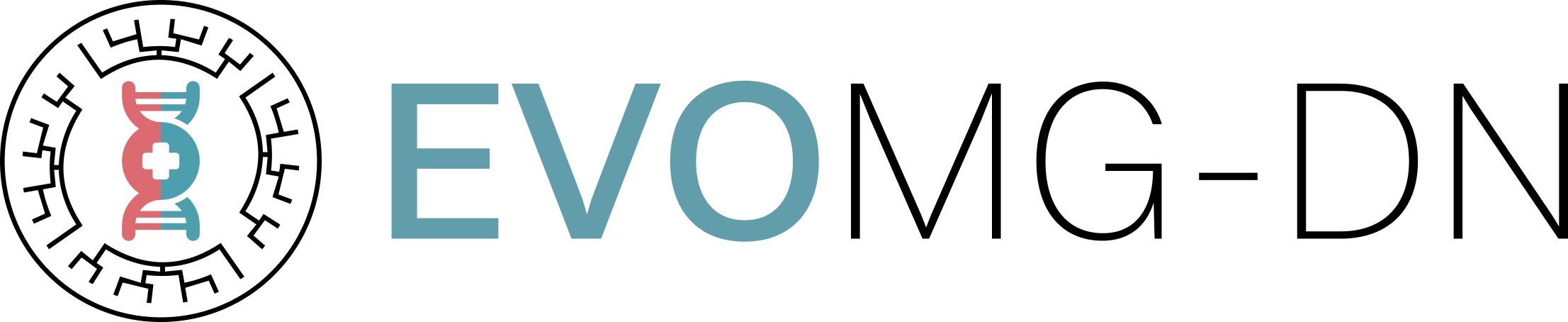 Doctoral Network logo